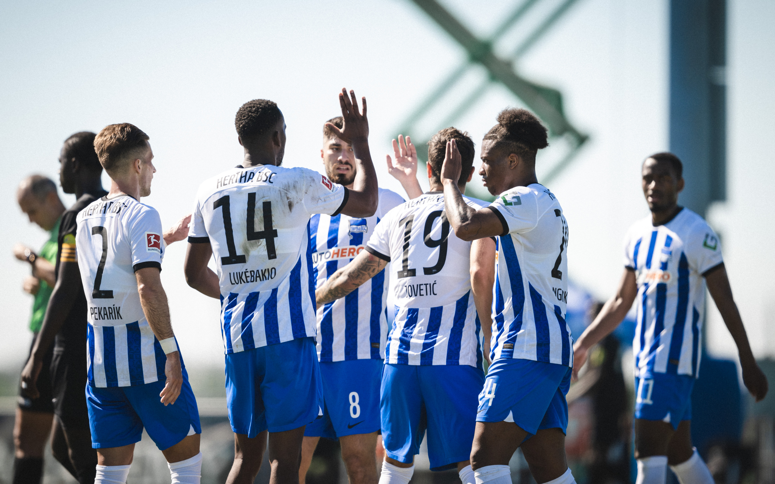 The Hertha team celebrates a goal.