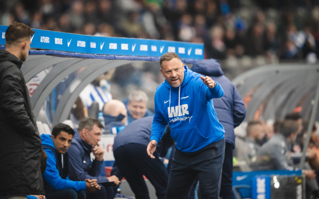 Pál Dárdai giving an instruction from the dugout during the game.