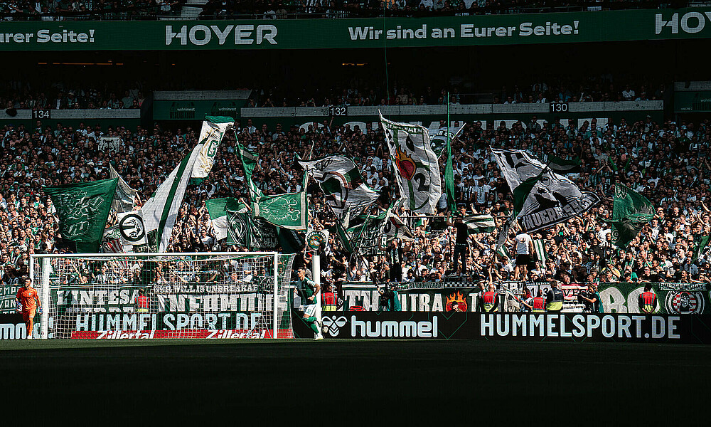 Green and white flags waving in the Ostkurve of the wohninvest WESERSTADION.