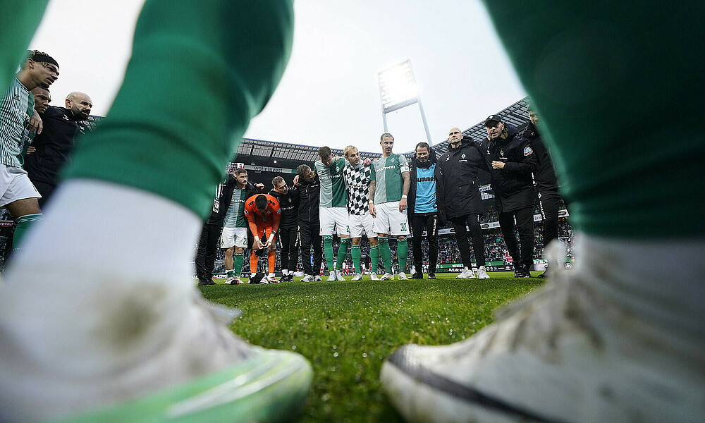 The team in a huddle