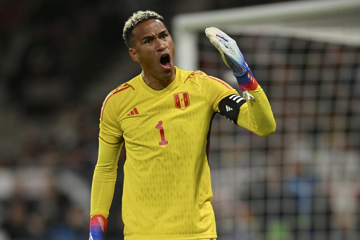 Germany v Peru - International Friendly