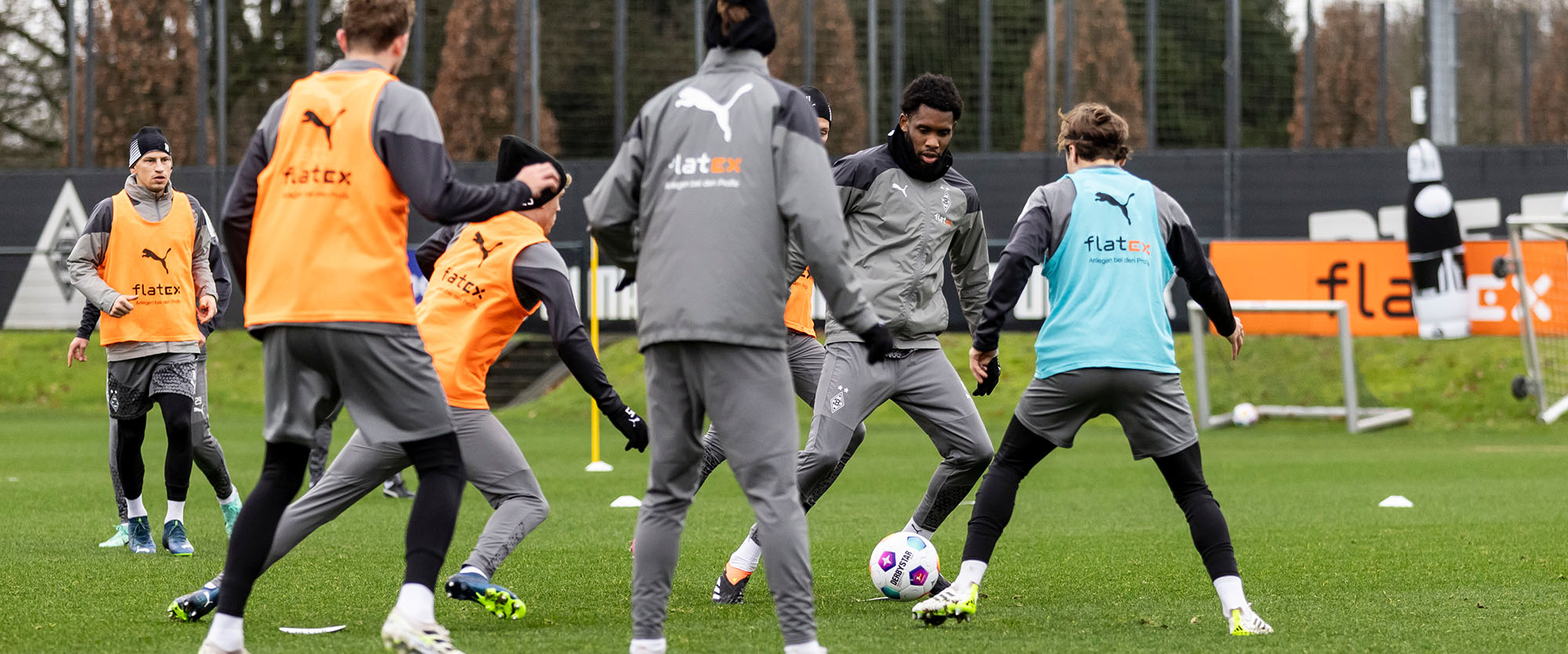 02-01-24_news_trainingsstart_fohlen