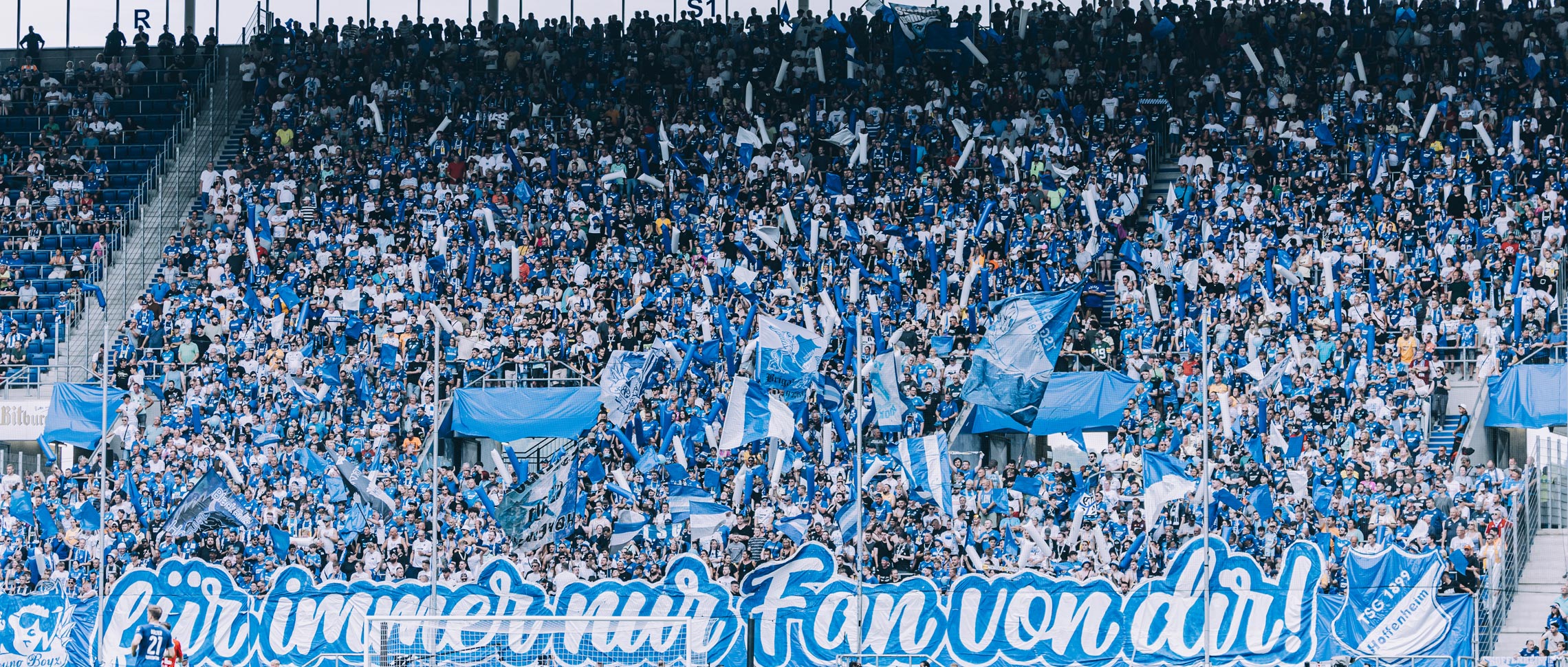 20240215-sap-tsg-hoffenheim-kurzpass-fanbeirat