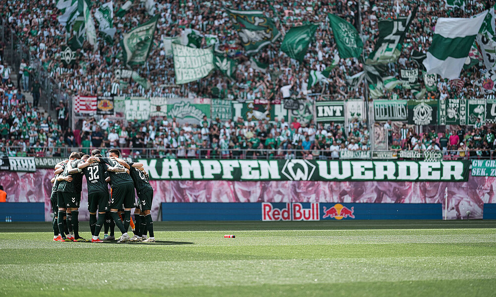 The team in a huddle.